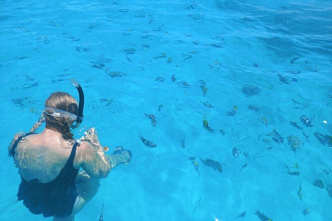 Private Dolphin Tour and Snorkeling at Mnemba Island reef - Snorkeling at Mnemba Reef