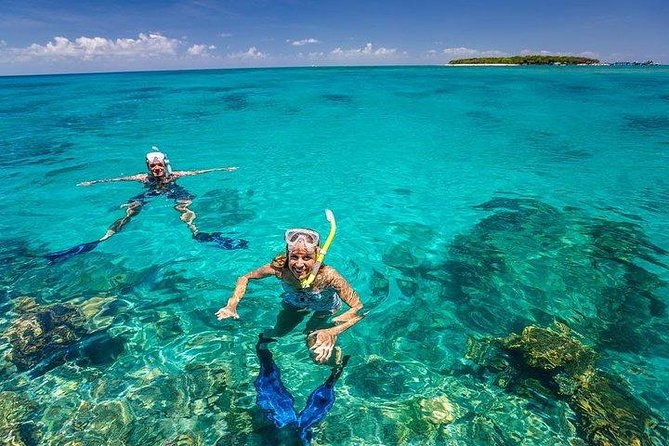 Private Dolphin Tour and Snorkeling at Mnemba Island reef - Is $104.99 a good value?