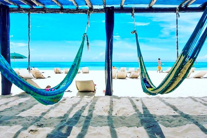 Private Dune Buggy & Snorkel Tour: All-Inclusive - The vehicle question deserves a direct answer