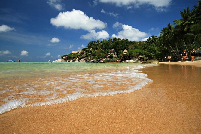 Private Full-Day Red Dragon Yacht for Snorkeling Koh Tan & Visit Pink Dolphin - Key points to know before booking