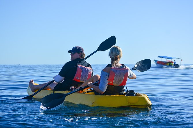 Private Glass bottom Kayak and snorkel at two Bays - Who Will Enjoy This Tour Most