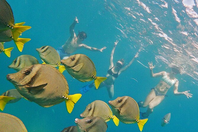 Private Guided Snorkeling in Cabo San Lucas - Key points to know before booking