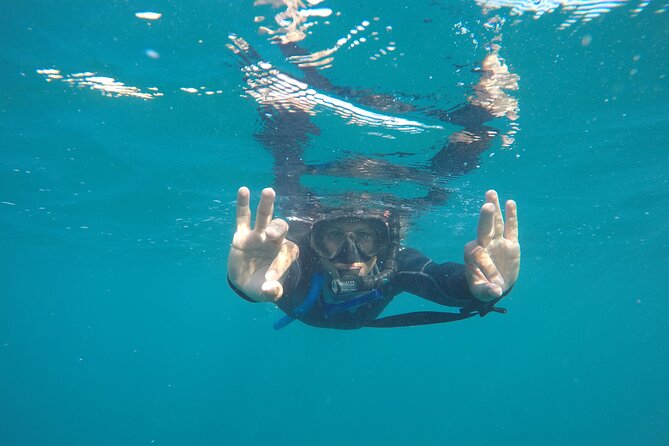 Private Guided Snorkeling in Cabo San Lucas - Who will enjoy this Cabo outing most?