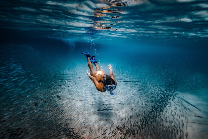 Private Guided Snorkeling in Cabo San Lucas - Snorkeling with a guide who can adjust the pace