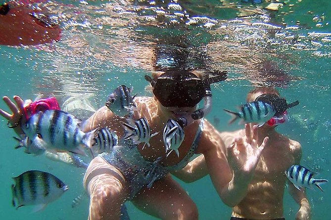 Private Half-Day Red Dragon Yacht for Snorkeling Koh Tan & Visit Pig Island - What the price means for your group