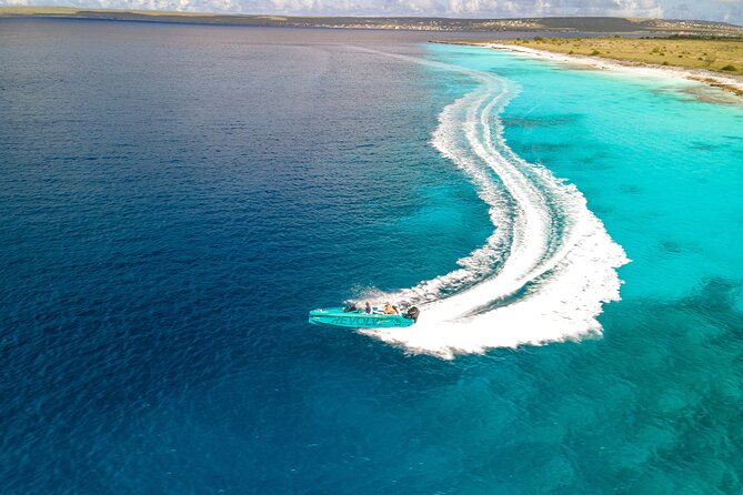 Private Half day REVOLVE Boat & Snorkeling tour in Bonaire - Price, group size, and value