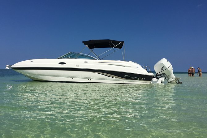 Private Half Day Stingray City, Snorkeling and Starfish Beach Tour - Key points at a glance