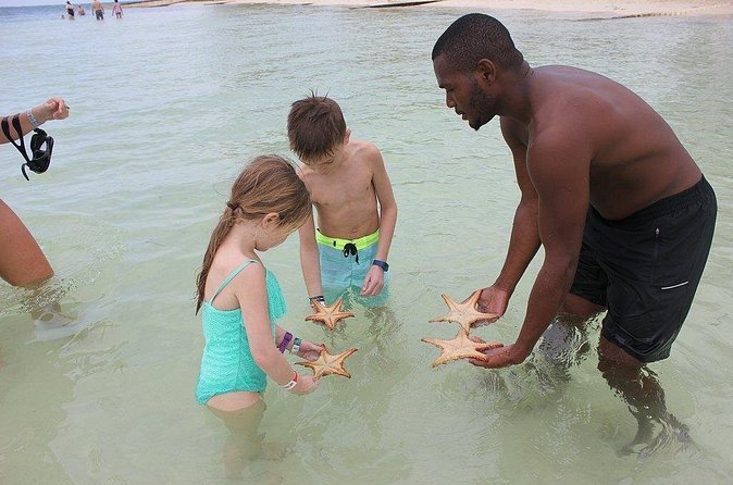 Private Half Day Stingray City, Snorkeling and Starfish Beach Tour - Pickup, cruise timing, and cancellation details