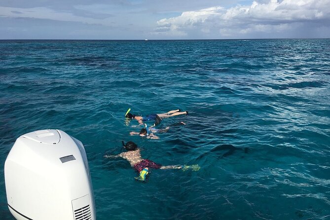 Private Half Day Stingray City, Snorkeling and Starfish Beach Tour - Stingray City, the main event