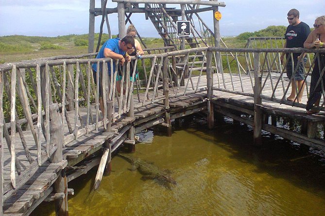 Private Jeep Excursion in Cozumel with Lunch and Snorkeling - El Mirador is quick, free, and good for photos