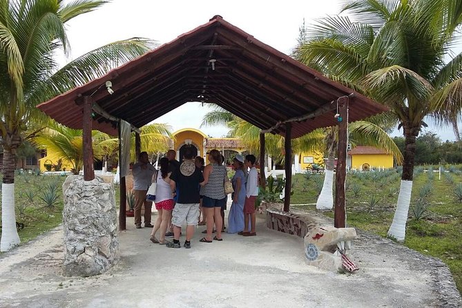 Private Jeep Excursion in Cozumel with Lunch and Snorkeling - Chankanaab combines park time with snorkeling