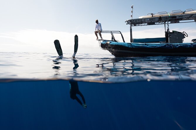 Private Kealakekua Bay Snorkel and Dolphin Watch - What to pack for the boat