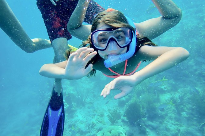 Private Looe Key Snorkel from Big Pine Key - What happens at Looe Key