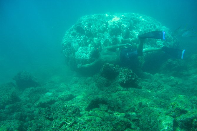 Private Los Cabos snorkeling tour to Chileno bay and Santa Maria cove - What the private format changes
