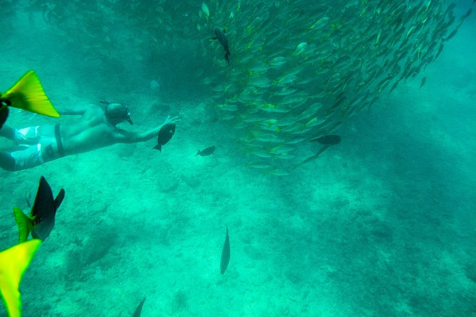 Private Los Cabos snorkeling tour to Chileno bay and Santa Maria cove - Transport, meeting points, and the early start