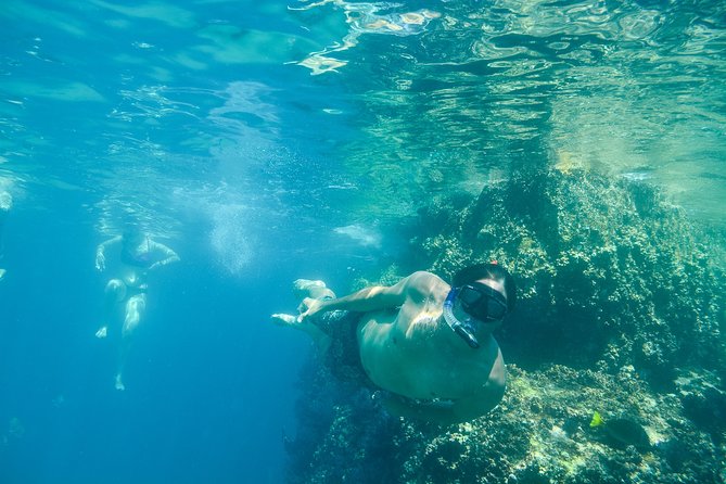 Private Los Cabos snorkeling tour to Chileno bay and Santa Maria cove - Is $125 per person a fair price?