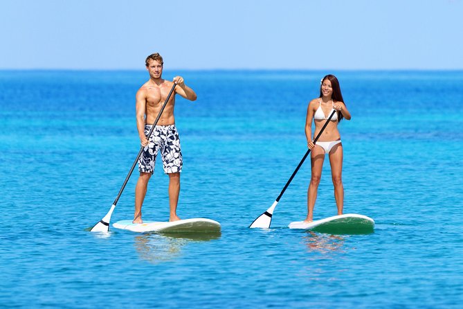 Private Luxury Catamaran Yacht. Full or Half Day Charter - Sail, Beach, Snorkel. - Snorkeling, turtles, rays, and reef stops