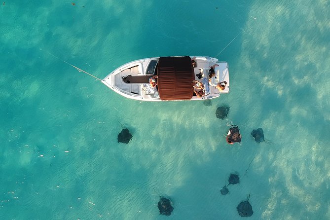 Private, luxury, custom charters to Stingray City, Snorkeling & More - Key points to know before booking