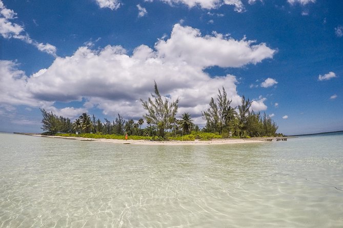 Private, luxury, custom charters to Stingray City, Snorkeling & More - Stingray City: the signature stop