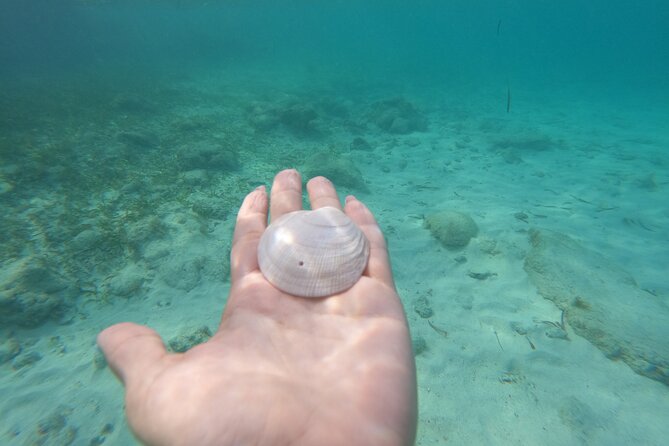 Private MUSA Snorkeling Experience at Isla Mujeres and Cancun - What the $550 price really buys