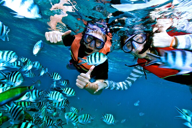 Private MUSA Snorkeling Experience at Isla Mujeres and Cancun - Timing, weather, and practical preparation