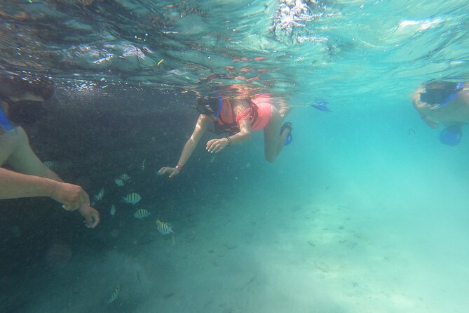 Private MUSA Snorkeling Experience at Isla Mujeres and Cancun - Meeting the crew at Isla Mujeres