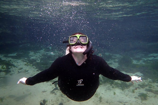 Private 'OG' Manatee Snorkel Tour with Guide for up to 10 people - Getting close to the manatees