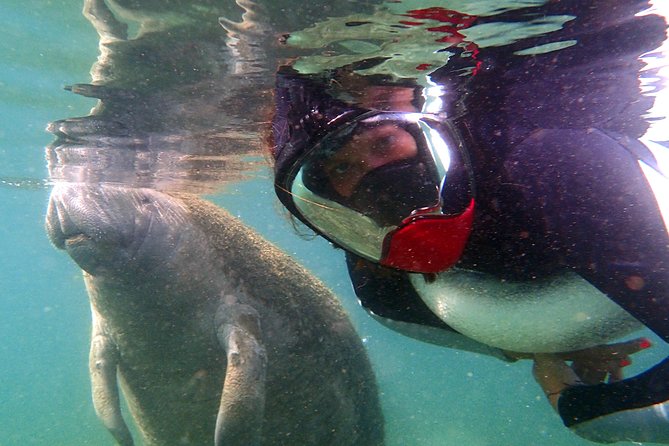 Private 'OG' Manatee Snorkel Tour with Guide for up to 10 people - The crew can make or break the day