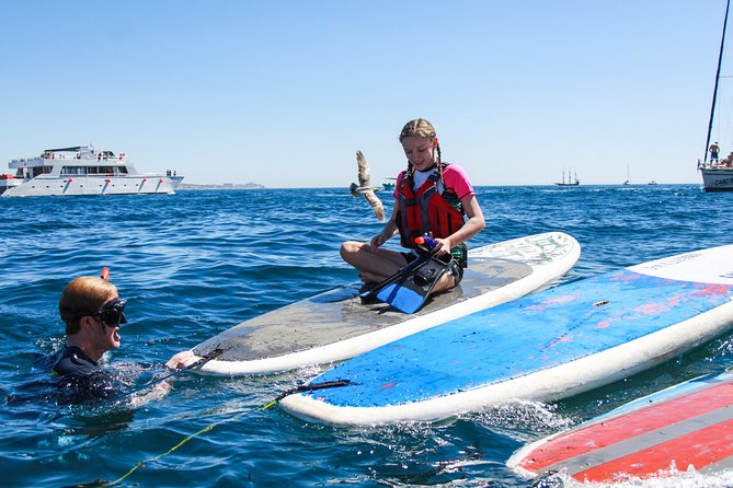 Private Paddleboard and snorkel at the arch - Guides who make the difference