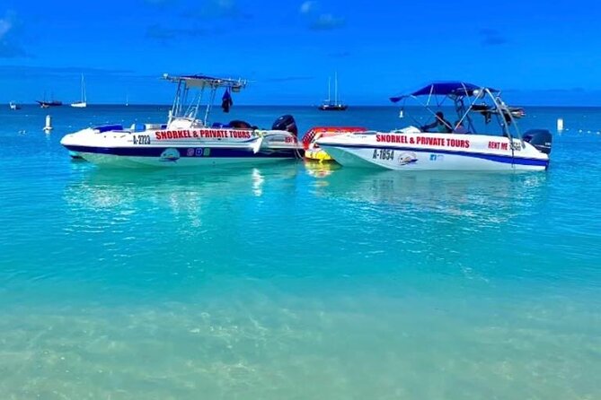 Private Snorkeling and Boat Riding Experience in Aruba - Is $270 per person good value?
