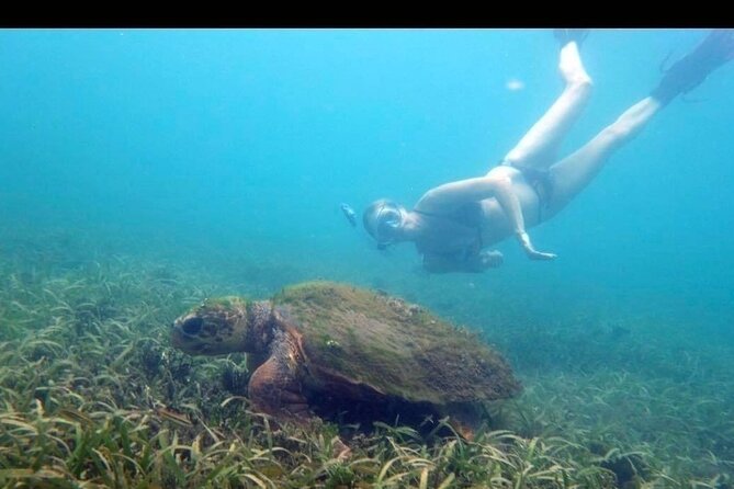 Private Snorkeling and Sightseeing Tour of Antigua - What this Antigua tour is really like