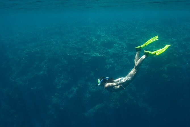 Private Snorkeling Experience in Aqaba Red Sea - Is One Hour Enough?
