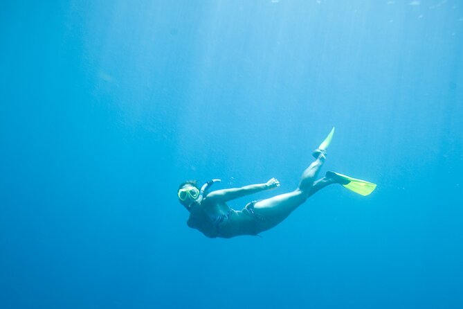 Private Snorkeling Experience in Aqaba Red Sea - The Value of $27 Per Person
