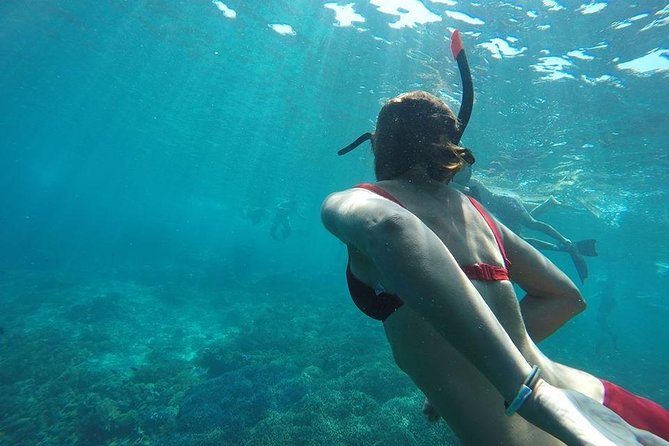 Private Snorkeling Gili Island (Coral, Statue and Turtle) - Who will enjoy this outing most