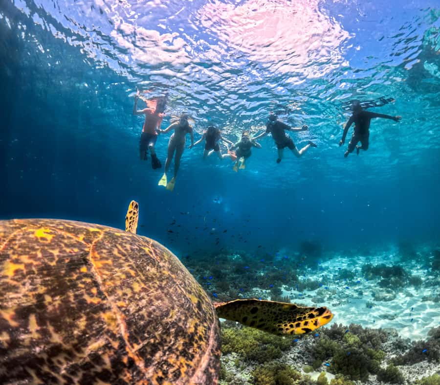 Private Snorkeling Gili Islands Full Day Tour - Why this Gili Islands day works well from Lombok