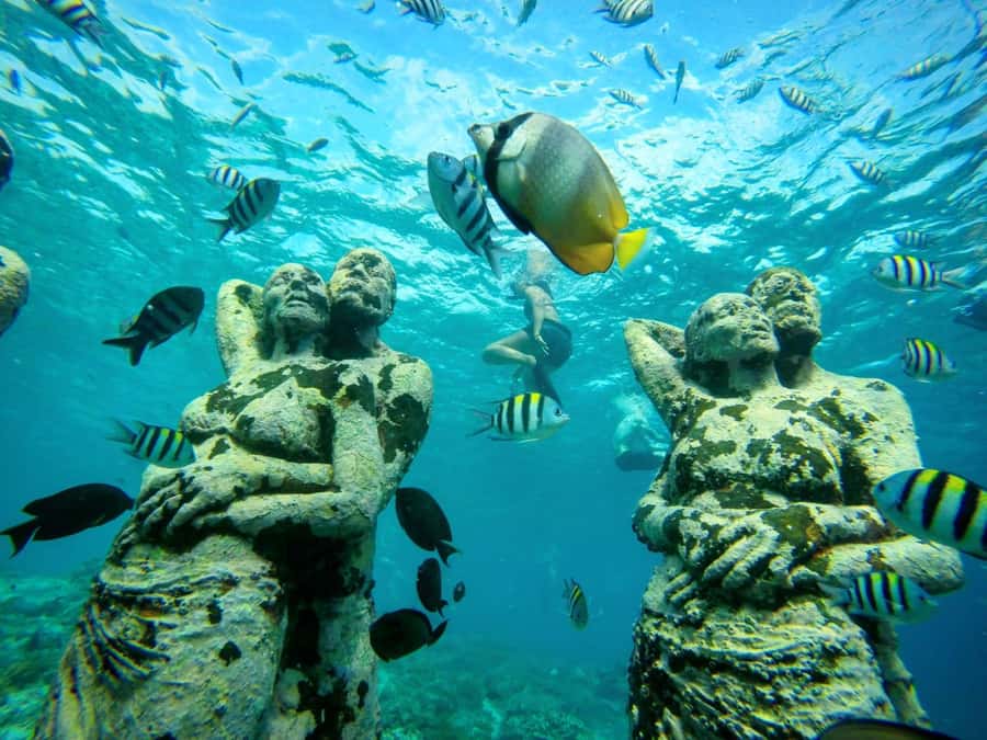 Private Snorkeling Gili Islands Full Day Tour - Gili Meno and the underwater statues