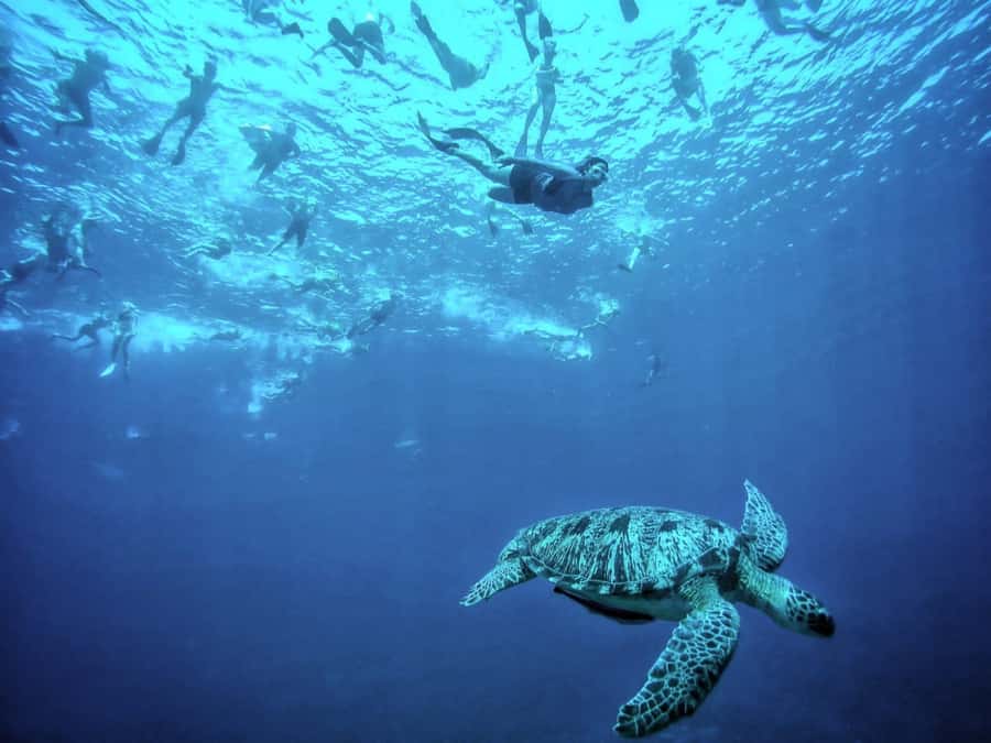 Private Snorkeling Gili Islands Full Day Tour - Gili Air adds another water stop
