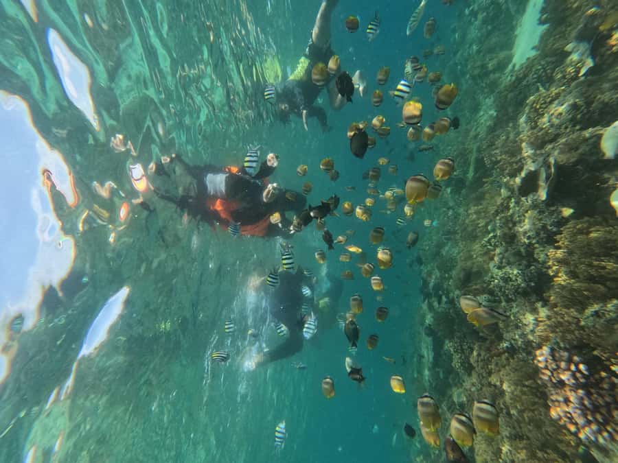 Private Snorkeling Gili Islands Full Day Tour - What the $72 price really covers