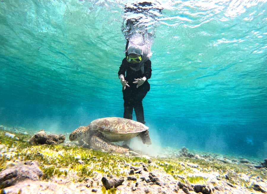 Private Snorkeling Gili Islands Full Day Tour - Timing, age limits, and comfort