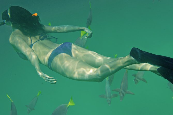 Private Snorkeling Tour in Cabo San Lucas - Who should choose two hours, and who should choose four