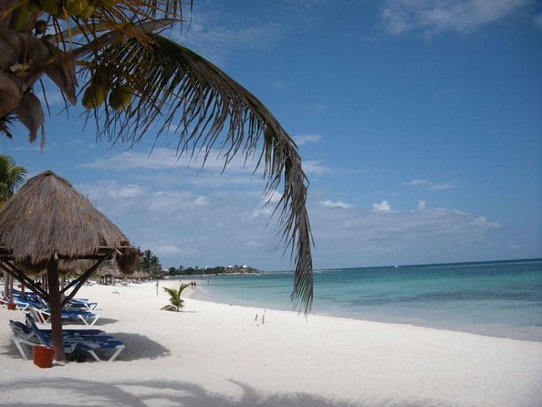 Private Snorkeling with Sea Turtles in Akumal Beach - Key points to know before you book