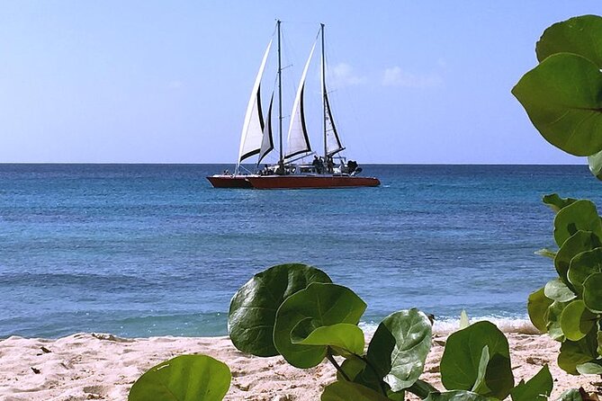Private Tour: Barbados Catamaran Snorkeling Cruise - Holetown’s shipwreck and marine park