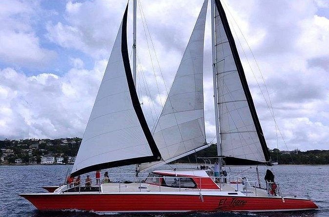 Private Tour: Barbados Catamaran Snorkeling Cruise - Lunch, beach time, and a swim ashore
