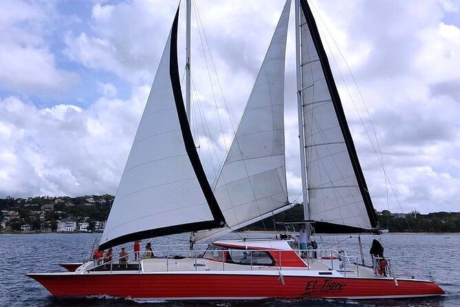 Private Tour: Barbados Catamaran Snorkeling Cruise - The ride back with rum punch and soca