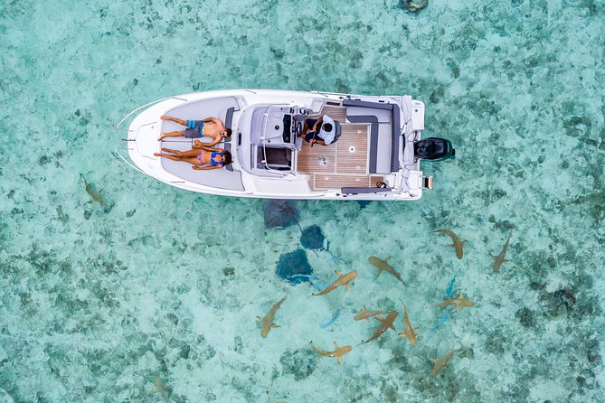 Private Tour: Bora Bora Lagoon Eco Snorkel Cruise - 3hrs or 6hrs - Three stops shaped by weather and season