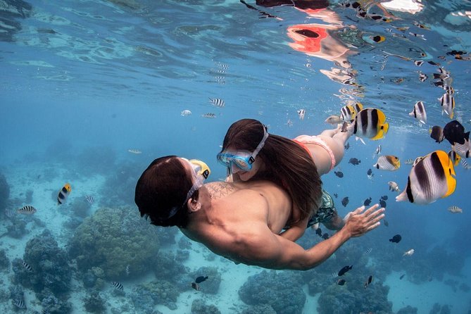 Private Tour: Bora Bora Lagoon Eco Snorkel Cruise - 3hrs or 6hrs - An eco approach that matters in the water