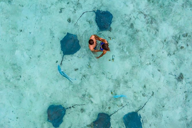 Private Tour: Bora Bora Lagoon Eco Snorkel Cruise - 3hrs or 6hrs - Who should book this Bora Bora cruise?