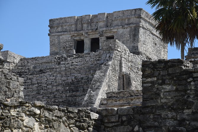 Private Tulum Ruins, Reef Snorkel & Cenote Adventure - Who will enjoy this most