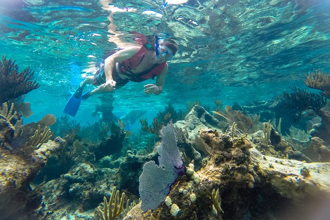 Private Tulum Ruins, Reef Snorkel & Cenote Adventure - Five minutes by boat to the reef