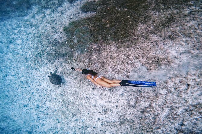 Private Turtle Spotting Snorkeling Excursion in Aruba - Tres Trapi is the whole point